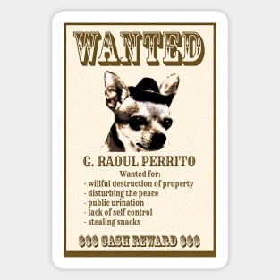 Bad Chihuahua Wanted Poster Sticker